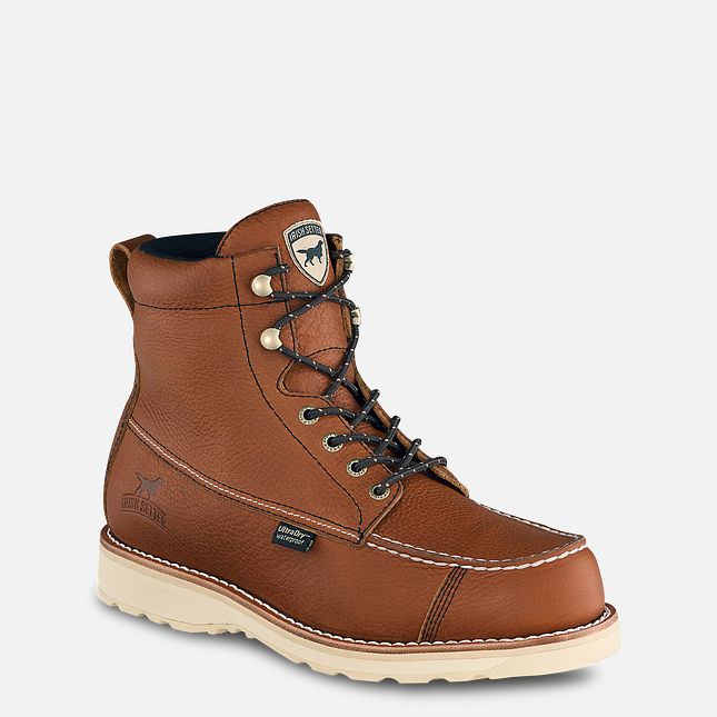 Irish Setter 838 / 605801 - Wingshooter WP